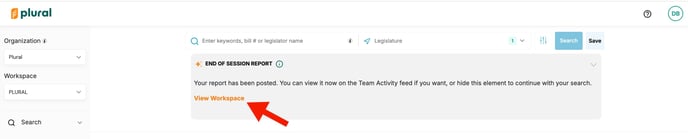 red arrow pointing to View Workspace text link in End of Session Report toolbar